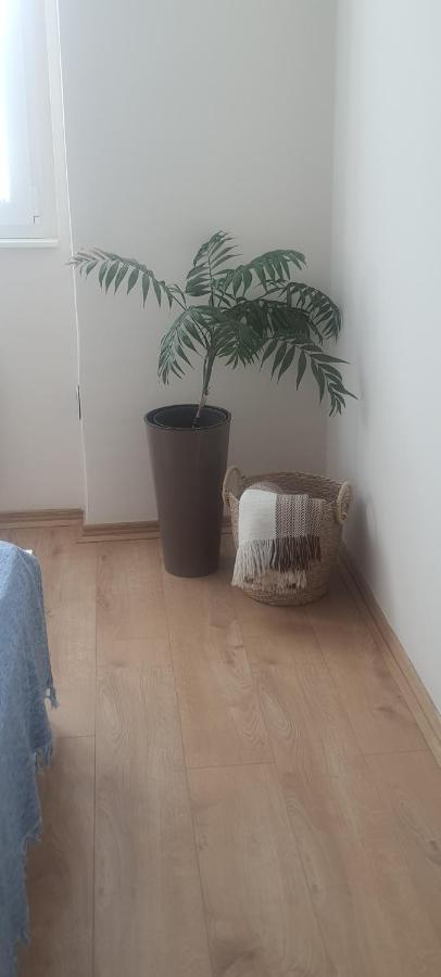 Apartman Taca 苏博蒂察 外观 照片